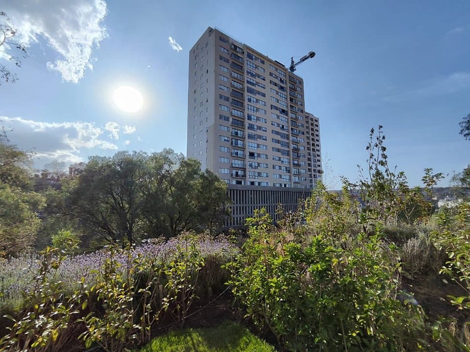 La torre detrás de la vegetación, a contraluz