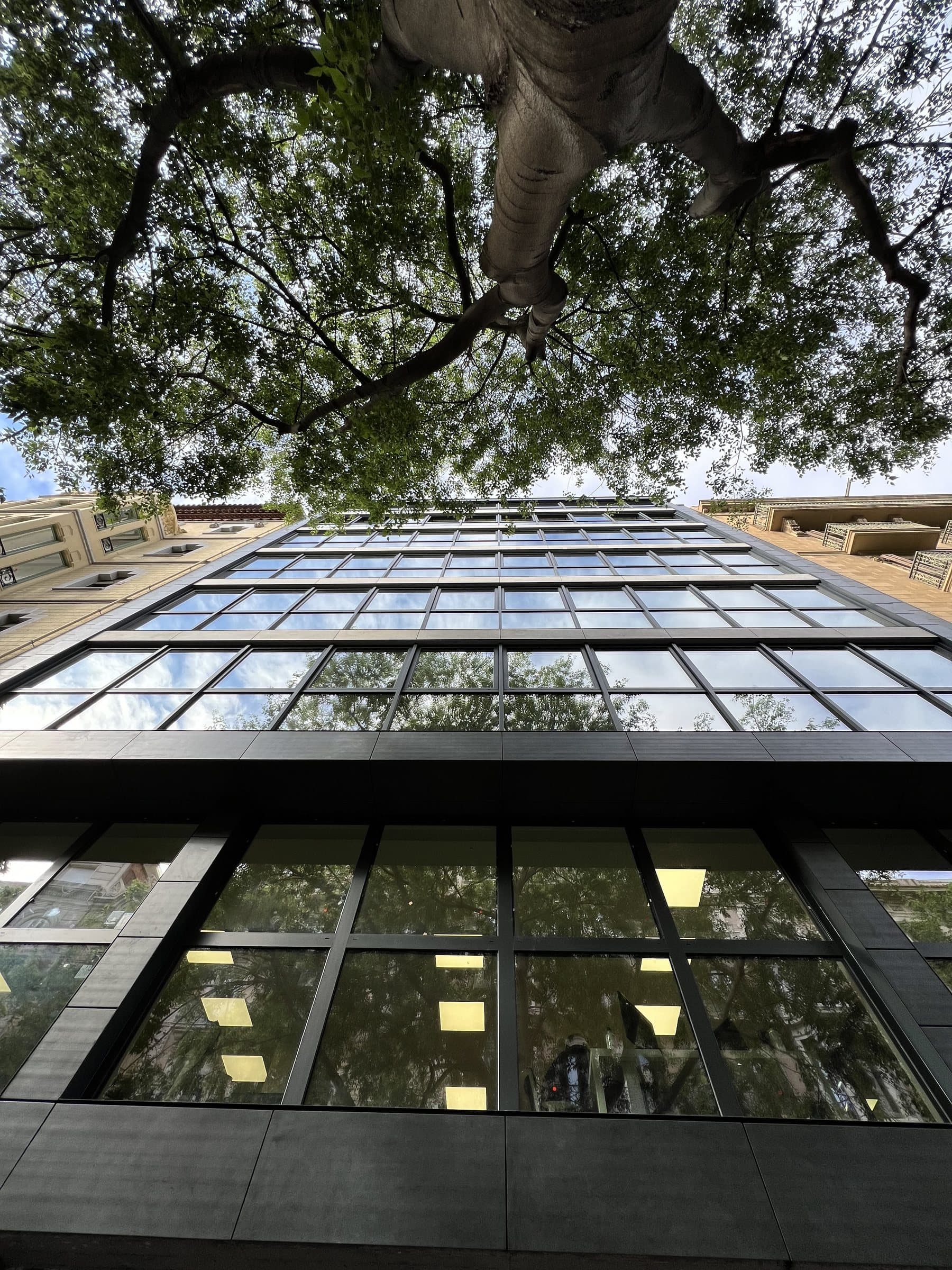 Carpinterías de la fachada reflejando el arbolado
